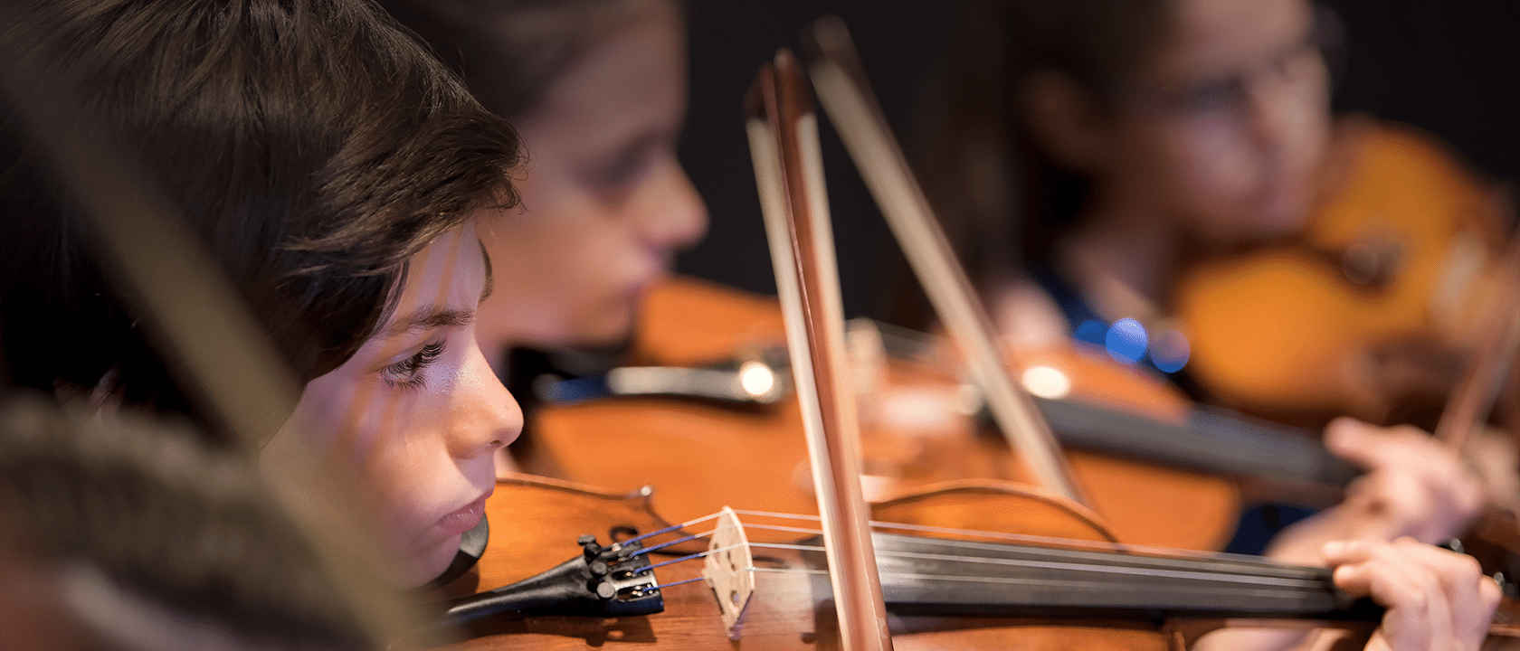 Violin